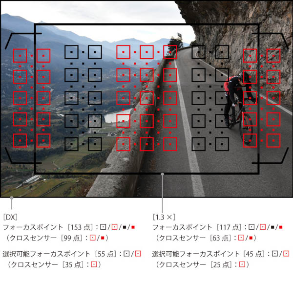 Nikon D500 ファインダーAFエリア Nikon D500 ファインダーAFエリア